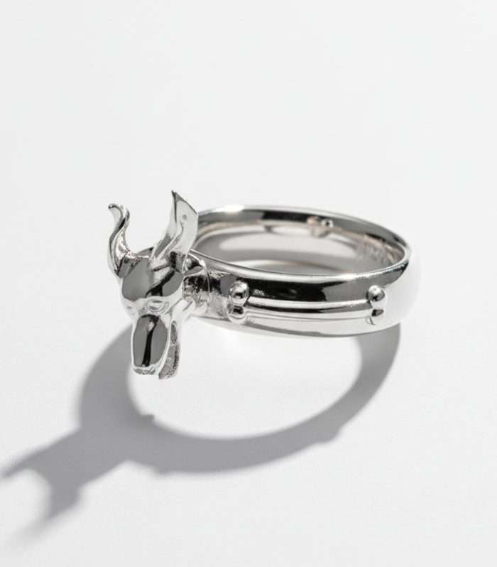 Primer plano del anillo "Mi Pequeño Gran Danés" en Plata 925 de HUEHUE, mostrando la figura detallada de un Gran Danés saltando en el aire.