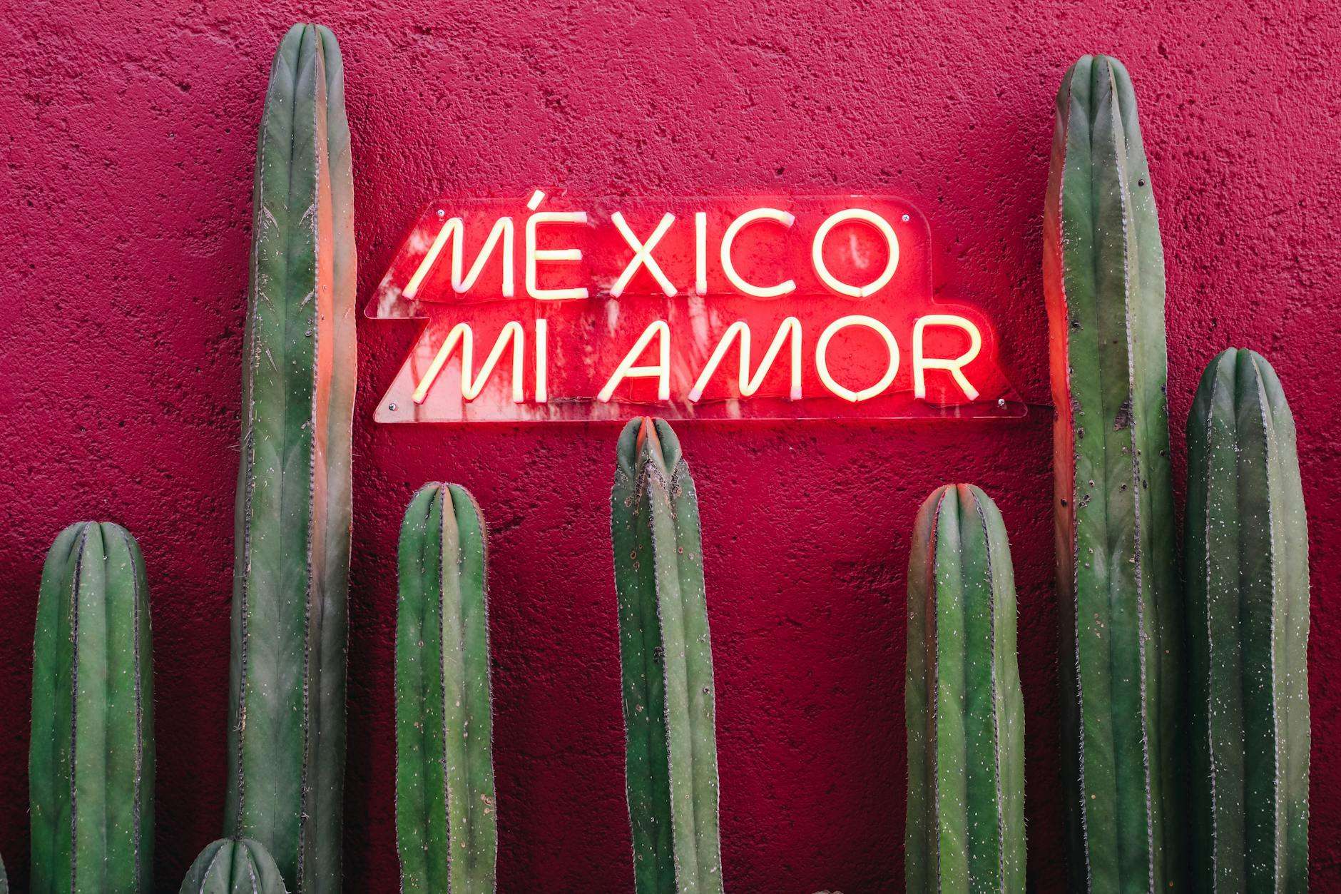 mexico mi amor writing on wall